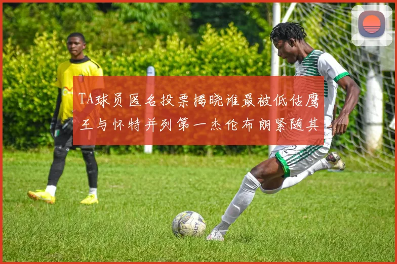 TA球员匿名投票揭晓谁最被低估鹰王与怀特并列第一杰伦布朗紧随其后